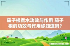 茄子根煮水功效与作用 茄子根的功效与作用你知道吗？