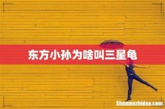 东方小孙为啥叫三星龟