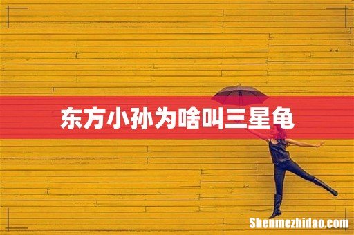 东方小孙为啥叫三星龟