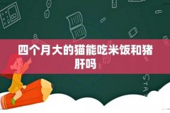 四个月大的猫能吃米饭和猪肝吗
