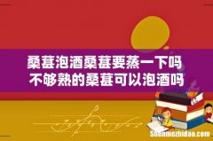 桑葚泡酒桑葚要蒸一下吗 不够熟的桑葚可以泡酒吗