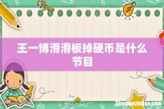 王一博滑滑板掉硬币是什么节目