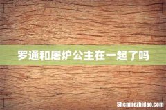 罗通和屠炉公主在一起了吗
