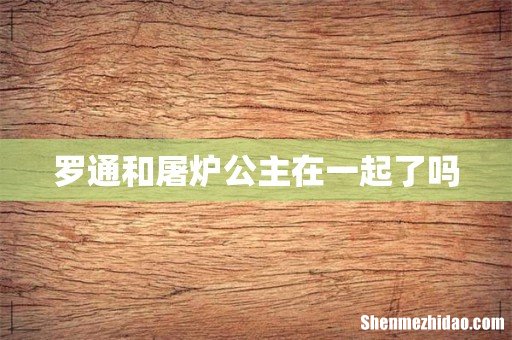 罗通和屠炉公主在一起了吗