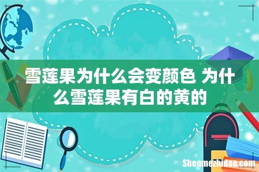 雪莲果为什么会变颜色 为什么雪莲果有白的黄的