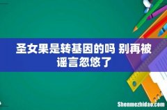 圣女果是转基因的吗 别再被谣言忽悠了