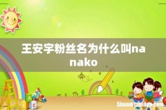 王安宇粉丝名为什么叫nanako