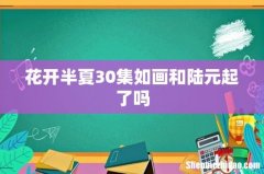 花开半夏30集如画和陆元起了吗
