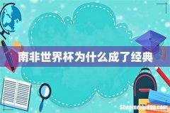 南非世界杯为什么成了经典
