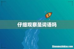 仔细观察是词语吗