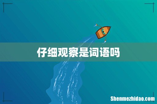 仔细观察是词语吗