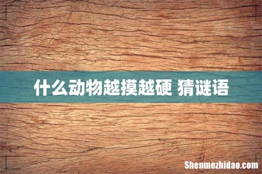 什么动物越摸越硬 猜谜语
