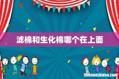 滤棉和生化棉哪个在上面