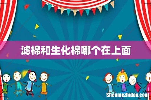 滤棉和生化棉哪个在上面