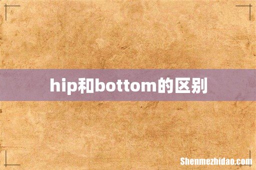 hip和bottom的区别