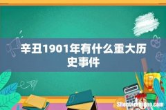 辛丑1901年有什么重大历史事件