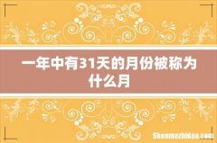 一年中有31天的月份被称为什么月