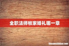 全职法师牧家婚礼哪一章