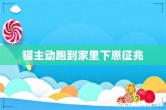 猫主动跑到家里下崽征兆