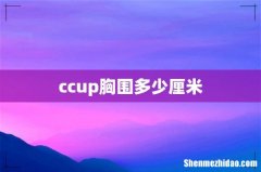 ccup胸围多少厘米