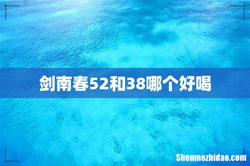 剑南春52和38哪个好喝