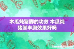 木瓜炖猪脚的功效 木瓜炖猪脚丰胸效果好吗