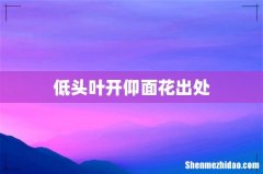 低头叶开仰面花出处