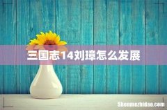 三国志14刘璋怎么发展