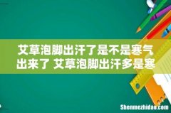 艾草泡脚出汗了是不是寒气出来了 艾草泡脚出汗多是寒气多吗