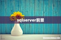 sqlserver前景