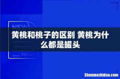 黄桃和桃子的区别 黄桃为什么都是罐头