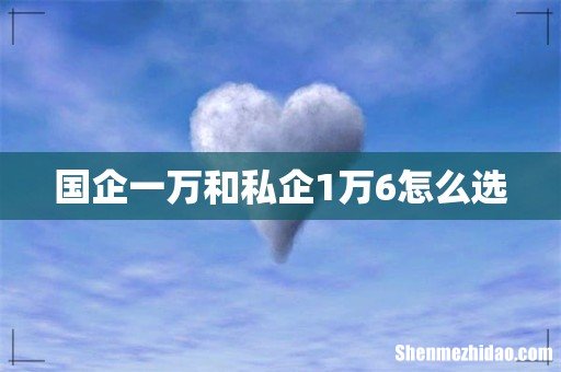 国企一万和私企1万6怎么选