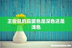 王俊凯的应援色是深色还是浅色