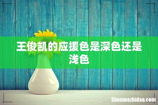 王俊凯的应援色是深色还是浅色