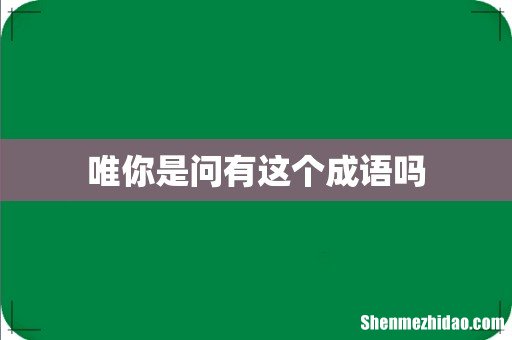 唯你是问有这个成语吗