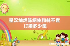 星汉灿烂陈绍生和林不宜 订婚多少集