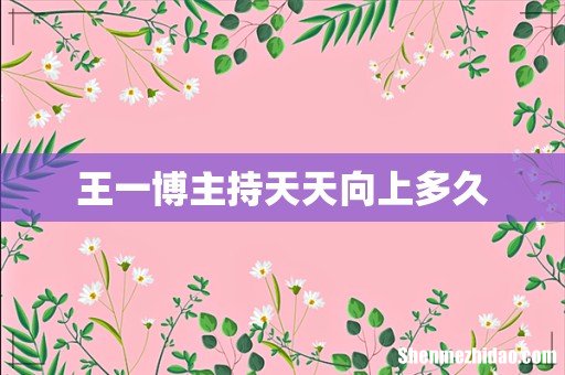 王一博主持天天向上多久
