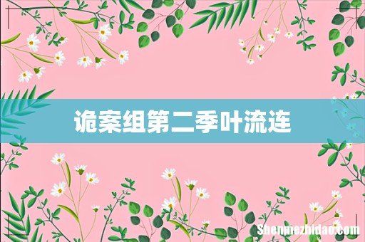 诡案组第二季叶流连