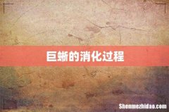 巨蜥的消化过程