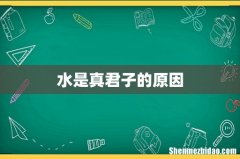 水是真君子的原因