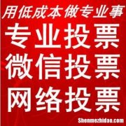 微信人工投票怎么投价格多少钱一票 微信人工投票10元1000票微信号