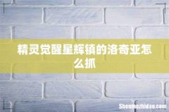 精灵觉醒星辉镇的洛奇亚怎么抓