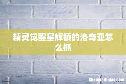 精灵觉醒星辉镇的洛奇亚怎么抓