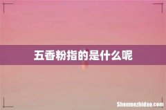 五香粉指的是什么呢