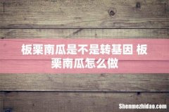 板栗南瓜是不是转基因 板栗南瓜怎么做