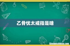 乙骨忧太戒指是啥