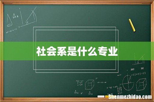 社会系是什么专业