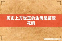 历史上方世玉的生母是苗翠花吗
