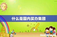 什么是国内买办集团