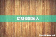 切赫是哪国人